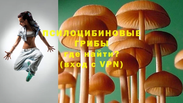 дмт Аркадак