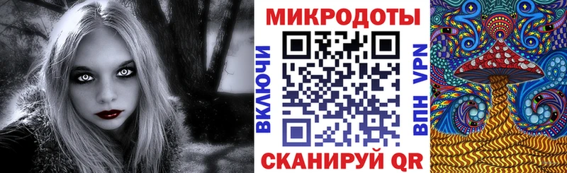 Псилоцибиновые грибы Psilocybe  Калтан 